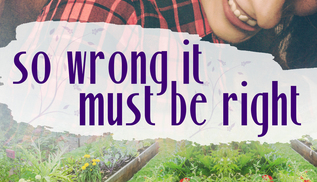 Review – So Wrong It Must Be Right (Gallagher & Ivy #1) by Nicole Helm