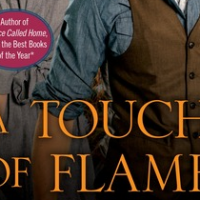 Autry’s Review – A Touch of Flame (The Cowboys of Colorado #2) by Jo Goodman