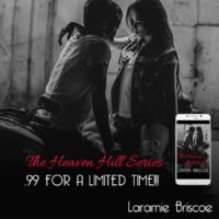 TEN BOOKS and TWO NOVELLAS for $.99 in this bundle!
