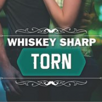 Java Girl’s Review – Torn (Whiskey Sharp #3) by Lauren Dane