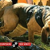 Autry’s Review – Through the Fire (Rocky Mountain K9 Unit #4) by Katie Ruggle