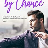 Slick’s review Decidedly by Chance by Stina Lindenblatt